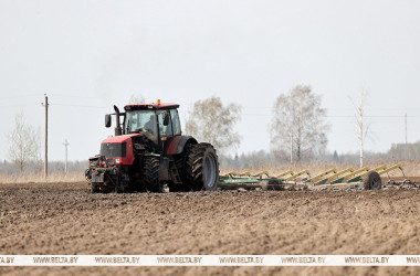 Фото: Ранние яровые зерновые в Беларуси посеяли более чем на 88% площадей
