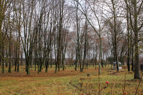 Порозовский сельисполком реализует проект «Вторая жизнь векового парка»