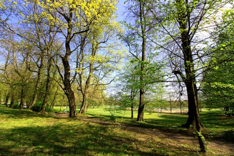 Парк знатных кровей