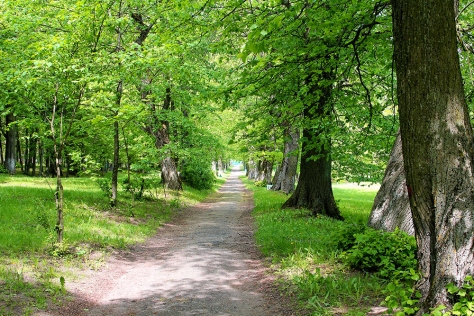 Парк знатных кровей