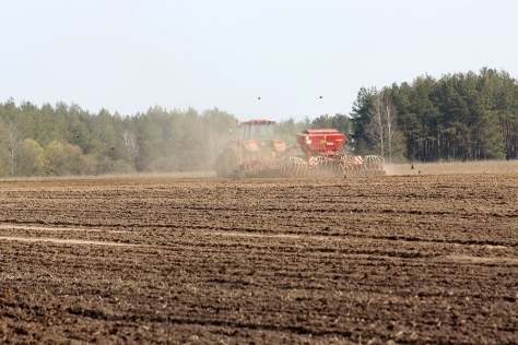 Сев озимых зерновых завершают в Гродненской области