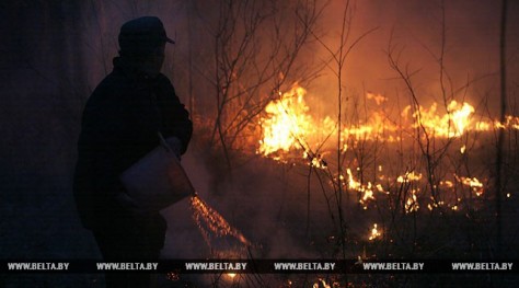 Из-за весенних палов в Гродненской области произошло уже 12 пожаров