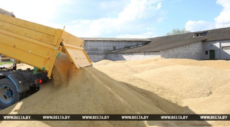 Генпрокуратура возбудила уголовное дело по факту уничтожения зерна в Свислочском районе