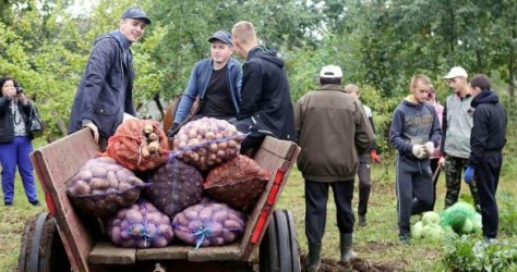 Агроклассы появятся в белорусских школах в новом учебном году