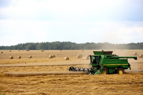 Аграрии Гродненщины преодолели рубеж в 800 000 тонн по намолоту зерна