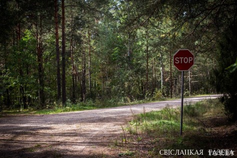 "We do not go to the forest without a reason". Life in Novy Dvor a year after Maxim Markhalyuk’s disappearance