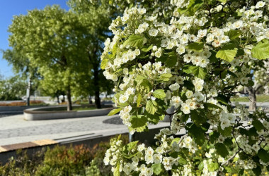 Фото: Весенние перемены. Что изменилось в Беларуси с 1 марта