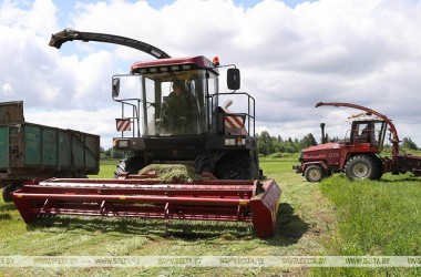 Фото: В Беларуси травы убраны почти с 80% площадей