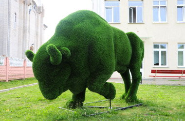 Фото: Символ Беловежской пущи "поселился" в Свислочи.