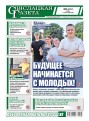 номер газеты в pdf