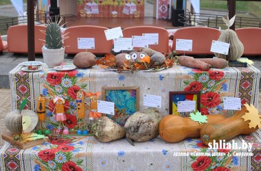 Фото: Самы вялікі гарбуз вырас у Шчучынскім раёне, а бульба – у Карэліцкім