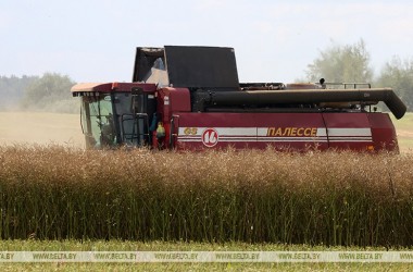 Фото: Belarus' harvest reaches 9m tonnes of grain