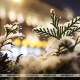 Фото: Похолодание, кратковременный снег и гололедица. Погода в Беларуси 3-8 февраля