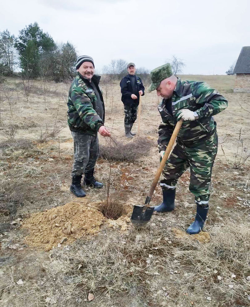 благоустр.jpg