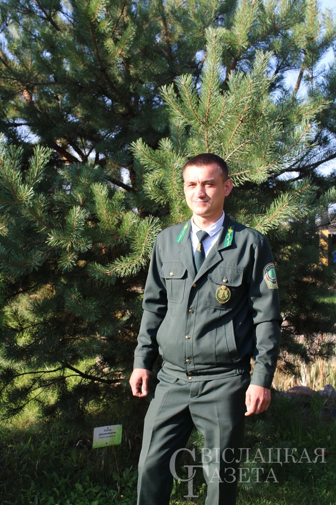 лесник.jpg