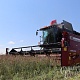 Фото: Более 4,6 млн тонн зерна с учетом рапса: ход жатвы в Беларуси