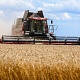 Фото: Белорусские аграрии намолотили 4 миллиона тонн зерна