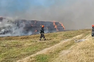 Фото: Почему забавы на полях могут стоить слишком дорого?