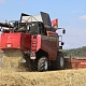 Фото: Белорусские аграрии убрали 15% площадей зерновых и зернобобовых культур
